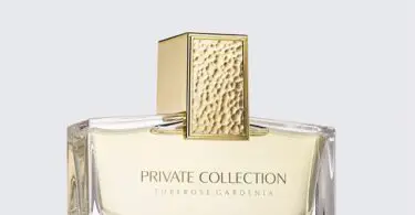 Perfumes With Gardenia And Tuberose