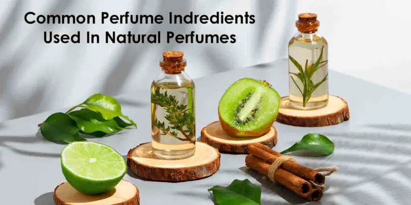 Perfumes With Natural Ingredients