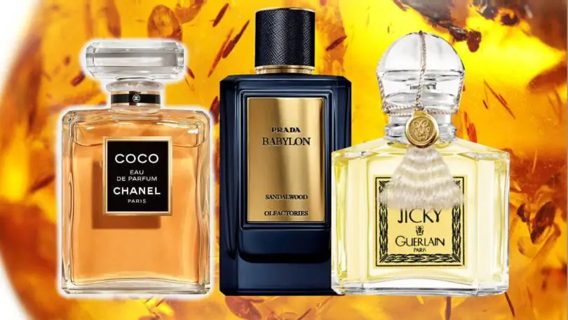 Perfumes With Sandalwood And Amber