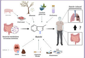 Perfumes With Skatole