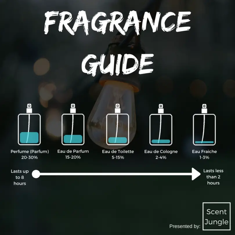 What'S the Difference between Edt And Perfume