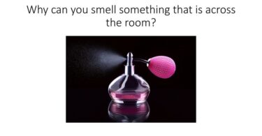 Why Can You Smell Perfume Across the Room