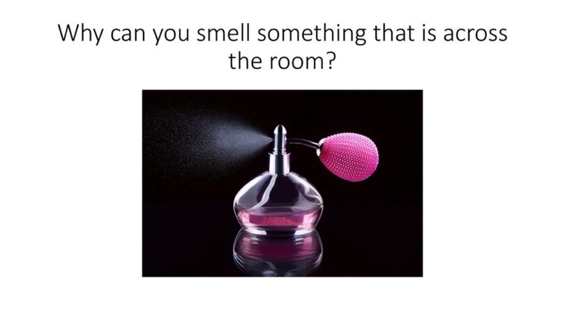 Why Can You Smell Perfume Across the Room