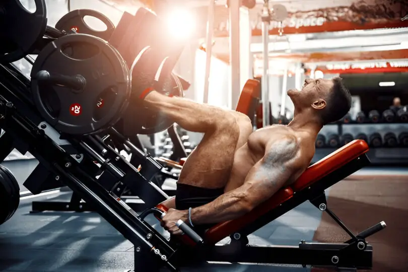 Best Recumbent Leg Press Machine Review