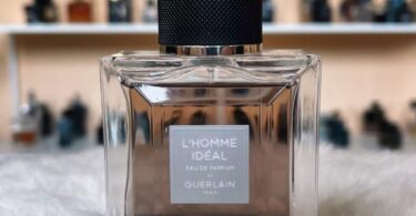 Best L'Homme Ideal Fragrance