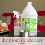 Best Way to Get Musty Smell Out of House