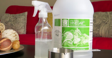 Best Way to Get Musty Smell Out of House