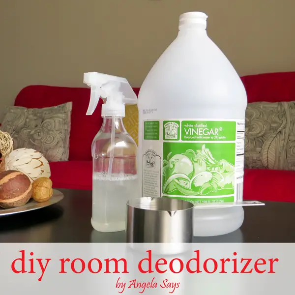 Best Way to Get Musty Smell Out of House