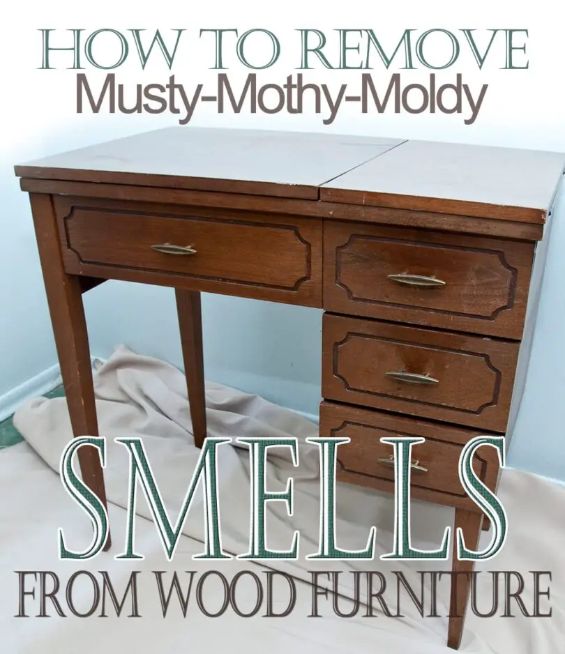 Can You Get Musty Smell Out of Wood