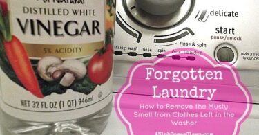 How to Get Musty Smell Out of Washing Machine