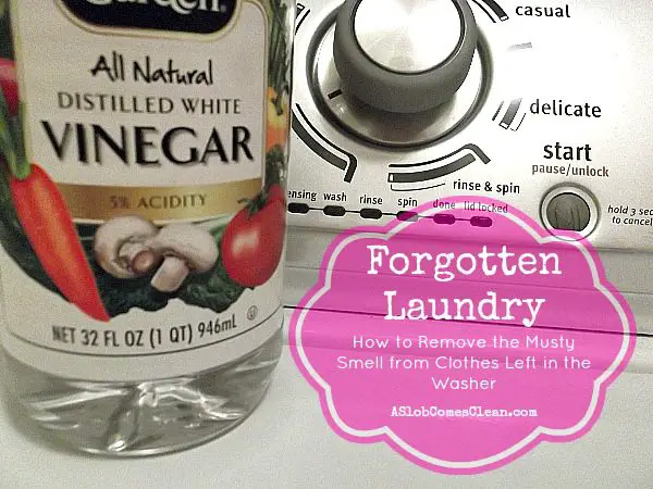 How to Get Musty Smell Out of Washing Machine