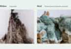 Is Musty Smell Always Mold