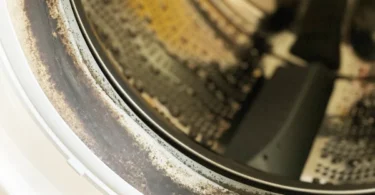 What to Do When Clothes Smell Musty After Washing