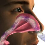 Why Do I Smell Musty in My Nose