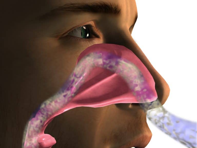 Why Do I Smell Musty in My Nose