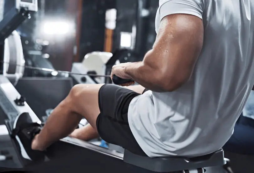 Best Rowing Machine for Building Muscle