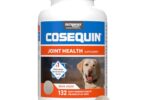 Best Joint Supplement for Dogs
