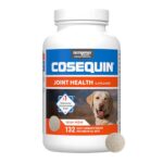 Best Joint Supplement for Dogs