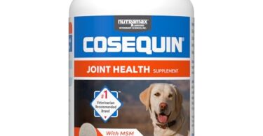 Best Joint Supplement for Dogs