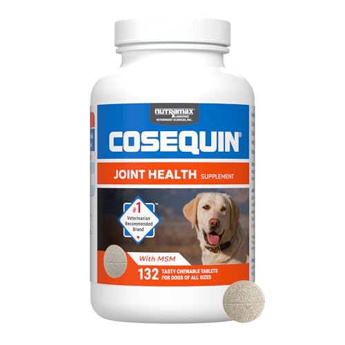 Best Joint Supplement for Dogs
