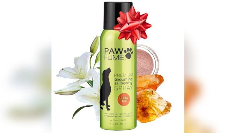 A Los Perros Se Les Puede Echar Perfume