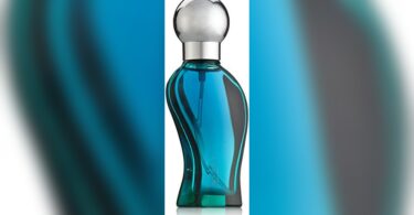 A Wing And a Prayer Perfumes: Discover Wings by Giorgio Beverly Hills Men