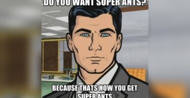 Are Ants Attracted to Protein Powder