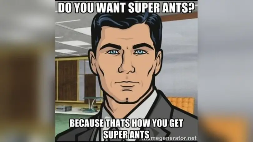 Are Ants Attracted to Protein Powder