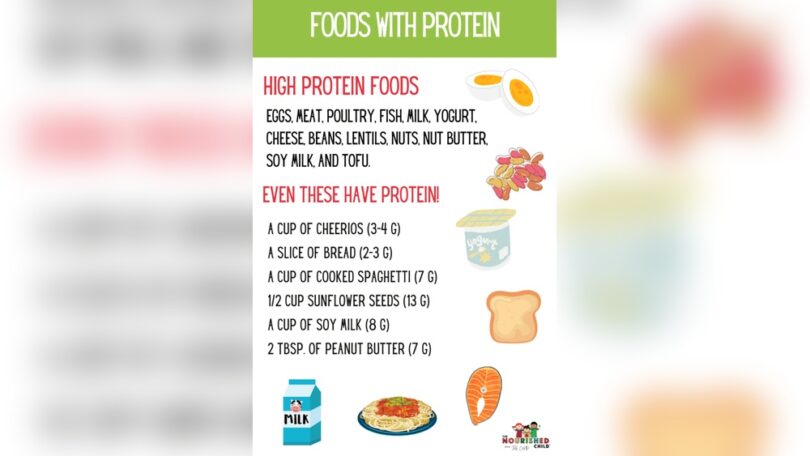 Can Children Eat Protein Powder