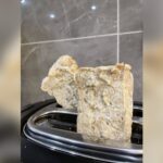 Can I Mix Psyllium Husk With Protein Powder