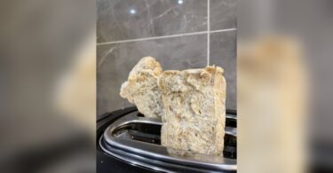 Can I Mix Psyllium Husk With Protein Powder