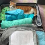 can i send perfume to new zealand