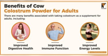 What Supplements are Beneficial for Adults