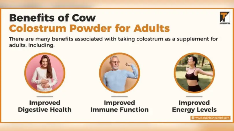 What Supplements are Beneficial for Adults