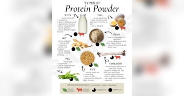 How is Protein Powder Made