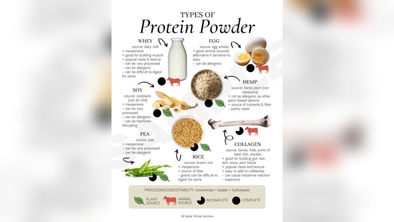 What is Protein Powder Made of